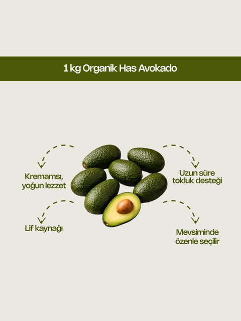 1 Kg Organik Has Avokado