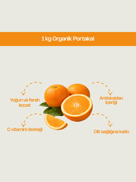 1 Kg Organik Portakal