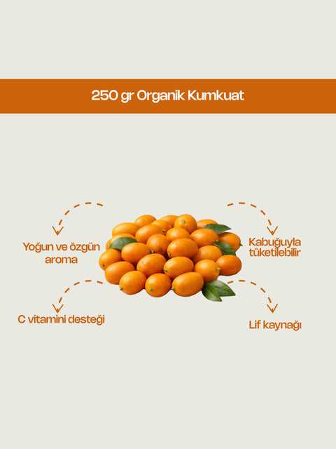 250 Gr Organik Kumkuat