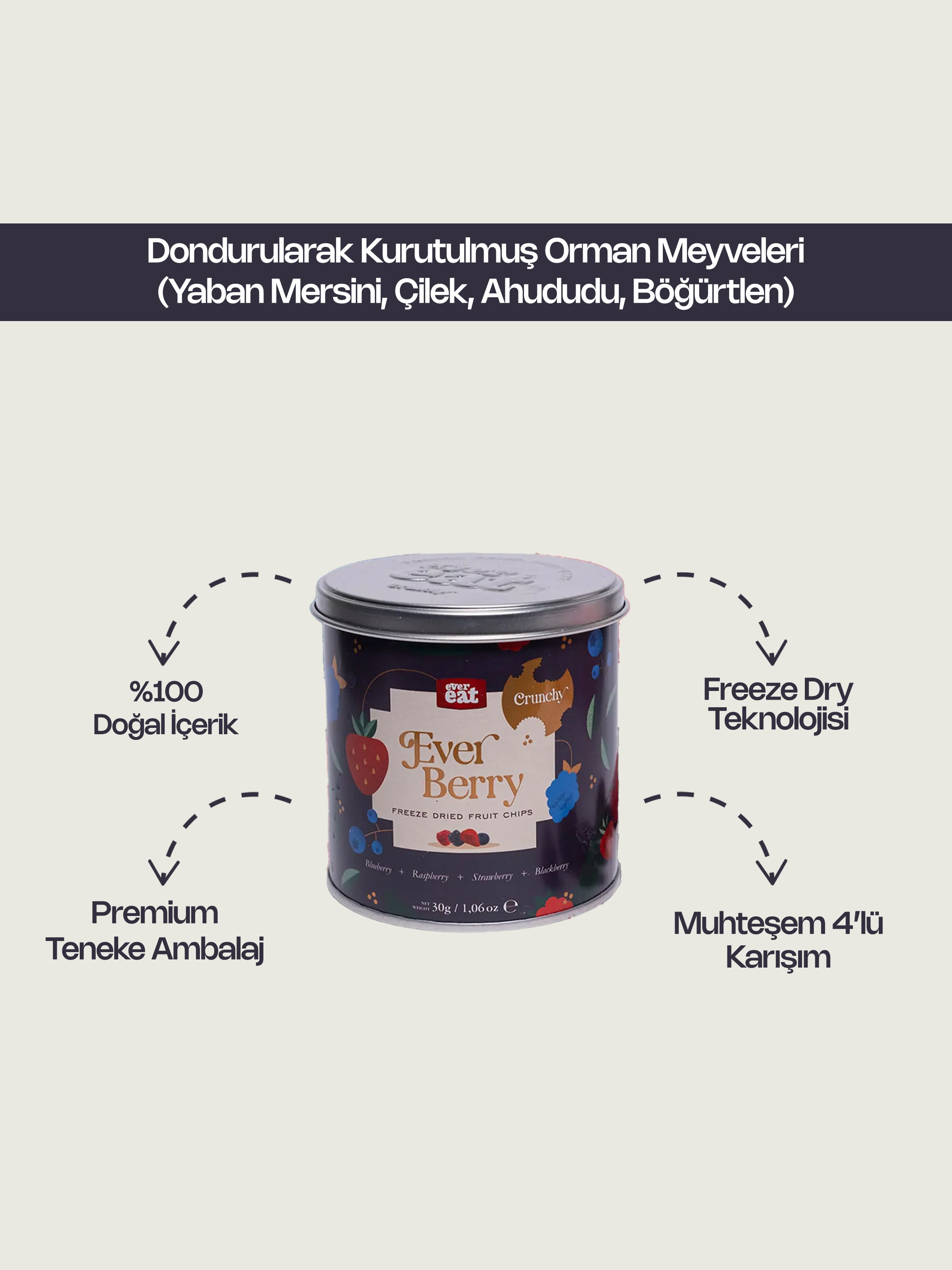 Freeze Dry Orman Meyveleri (Yaban Mersini, Çilek, Ahududu, Böğürtlen)