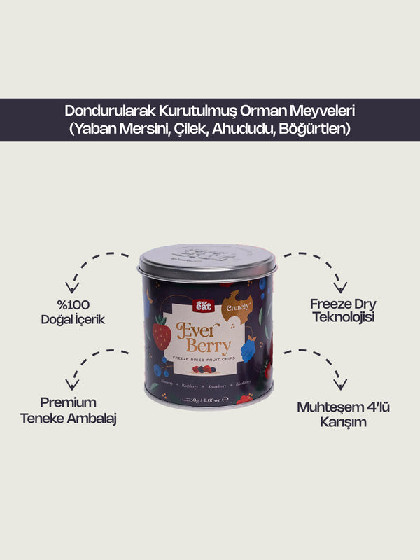 Ever Eat Freeze Dry Orman Meyveleri