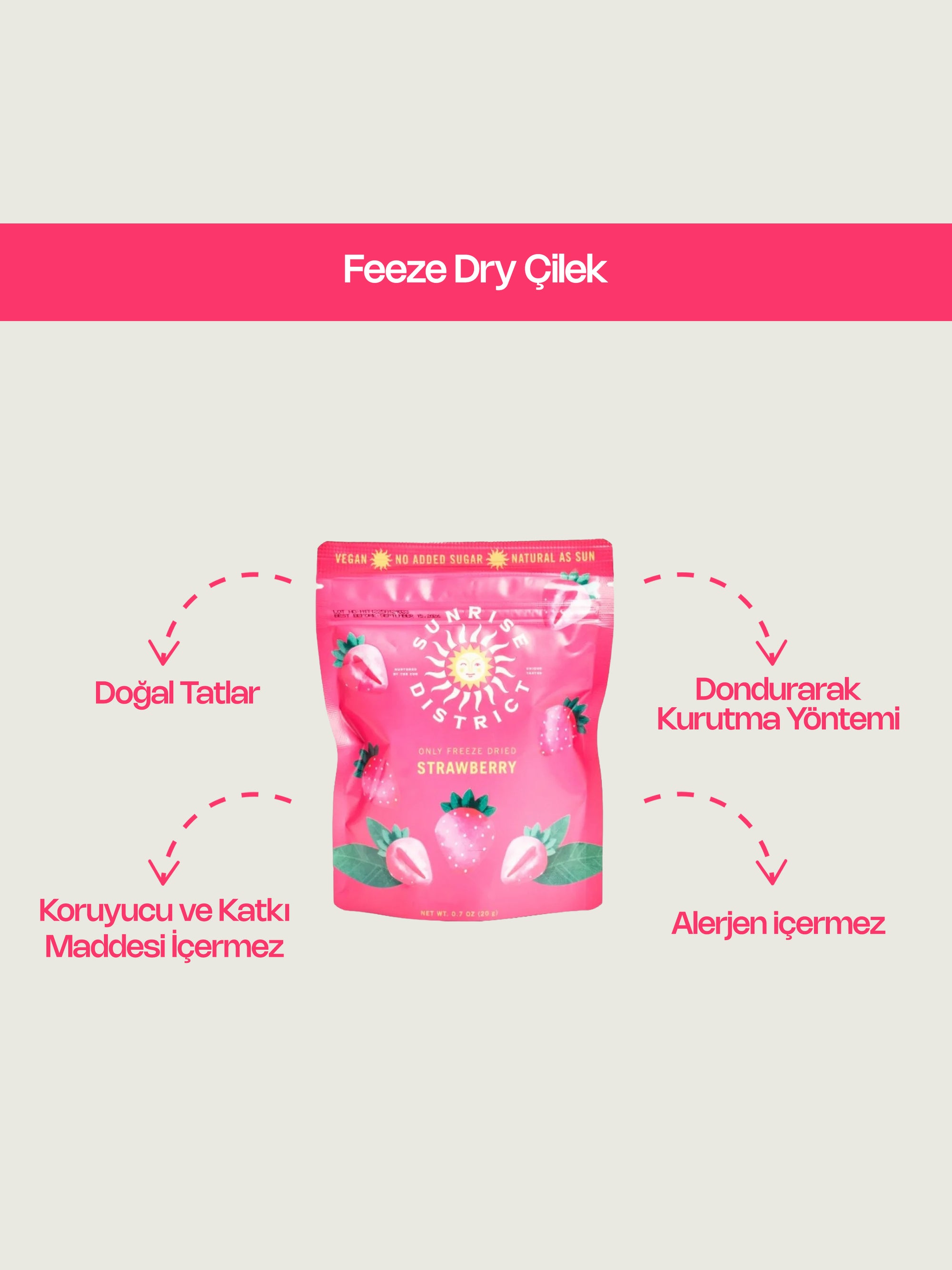 Freeze Dry Çilek 20 G