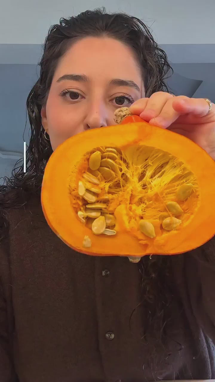 fallback text for a video